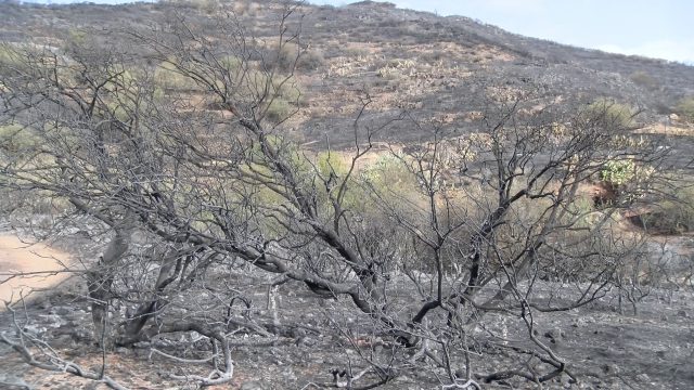 Valoracion Incendio5