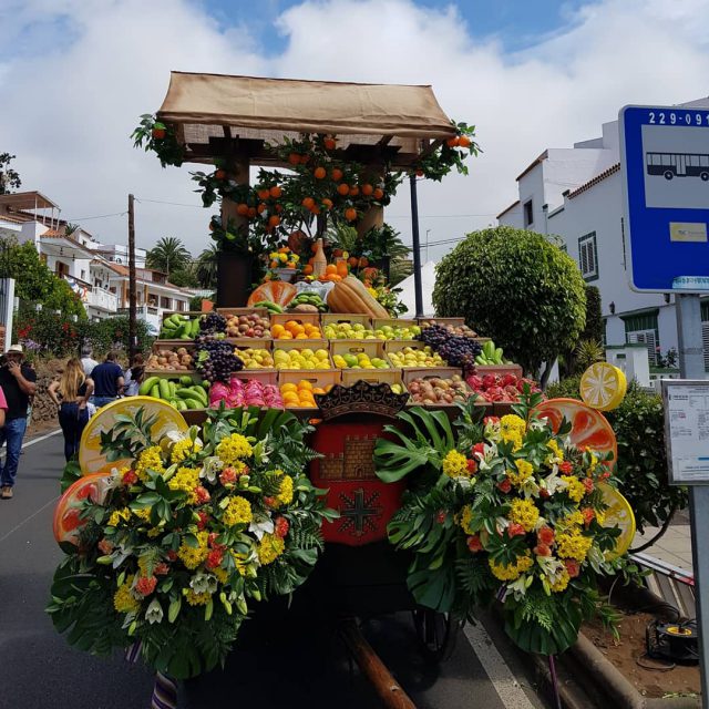 Carreta Romeria El Pino