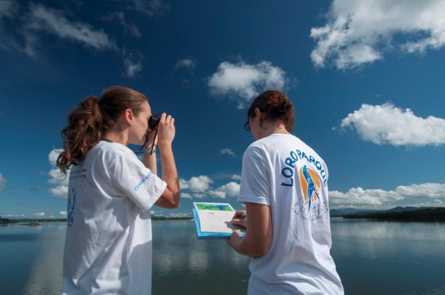 Loro Parque Fundacion Cumple 25 Años 2