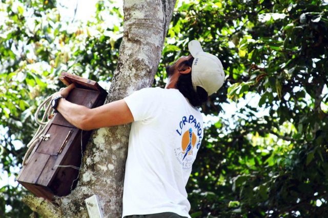 Loro Parque Fundacion Cumple 25 Años 6