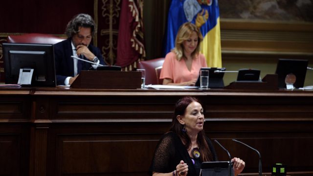 mariadelrioparlamento