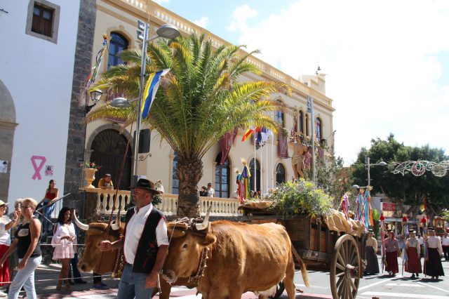 Adeje Romeria Adeje 2018Img 9147 Copia