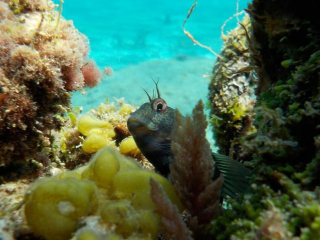 Bahía De La Aldea