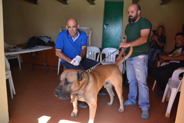Curso Tecnico Unidades Caninas De Busqueda Y Proteccion 2019 2