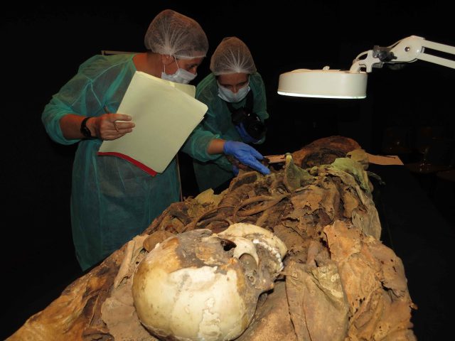 Dos Arqueólogas Analizan Los Restos De Una Momia.