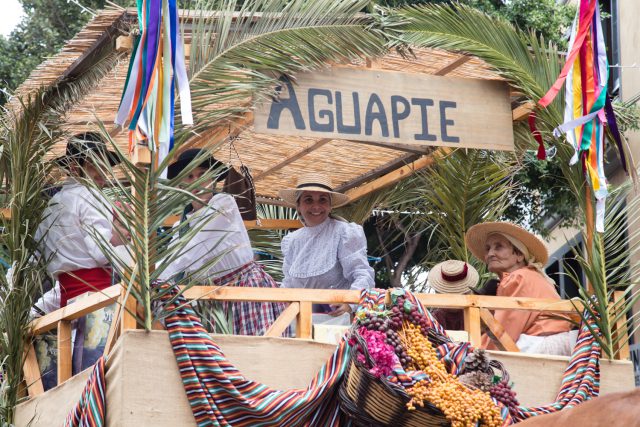 Romería de Adeje (2)