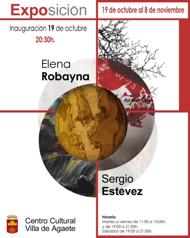 cartel_expo_elena_robayna_sergio_estevez_1