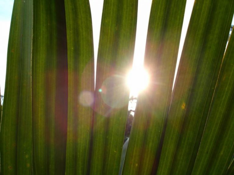 Más de 35 grados sólo en el Guadalquivir