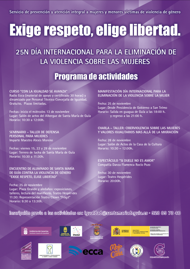 CARTEL PROGRAMA 25N