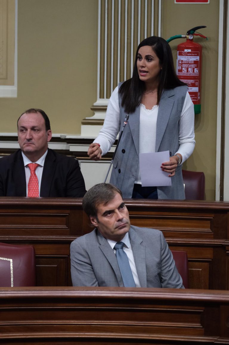 Cs exige al Gobierno de Canarias que exija al Ejecutivo de Sánchez los 48 millones de euros destinados a luchar contra la pobreza