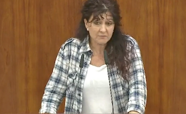 Una diputada de Vox: «Yo pondría como asignatura obligatoria, en vez de feminismo, costura»
