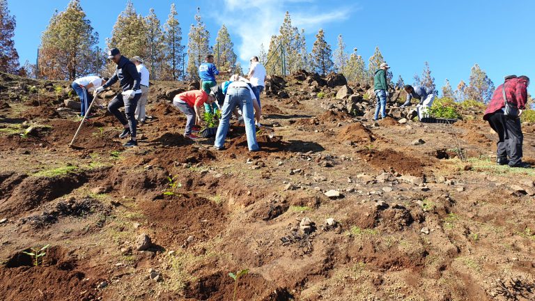 Foresta arranca un plan de voluntariado ambiental para sus más de 9.000 miembros