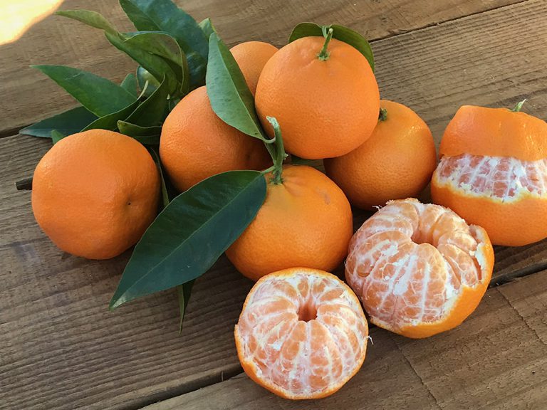 Estamos en tiempo de la mandarina, un fruto antiflamatorio y broncodilatador