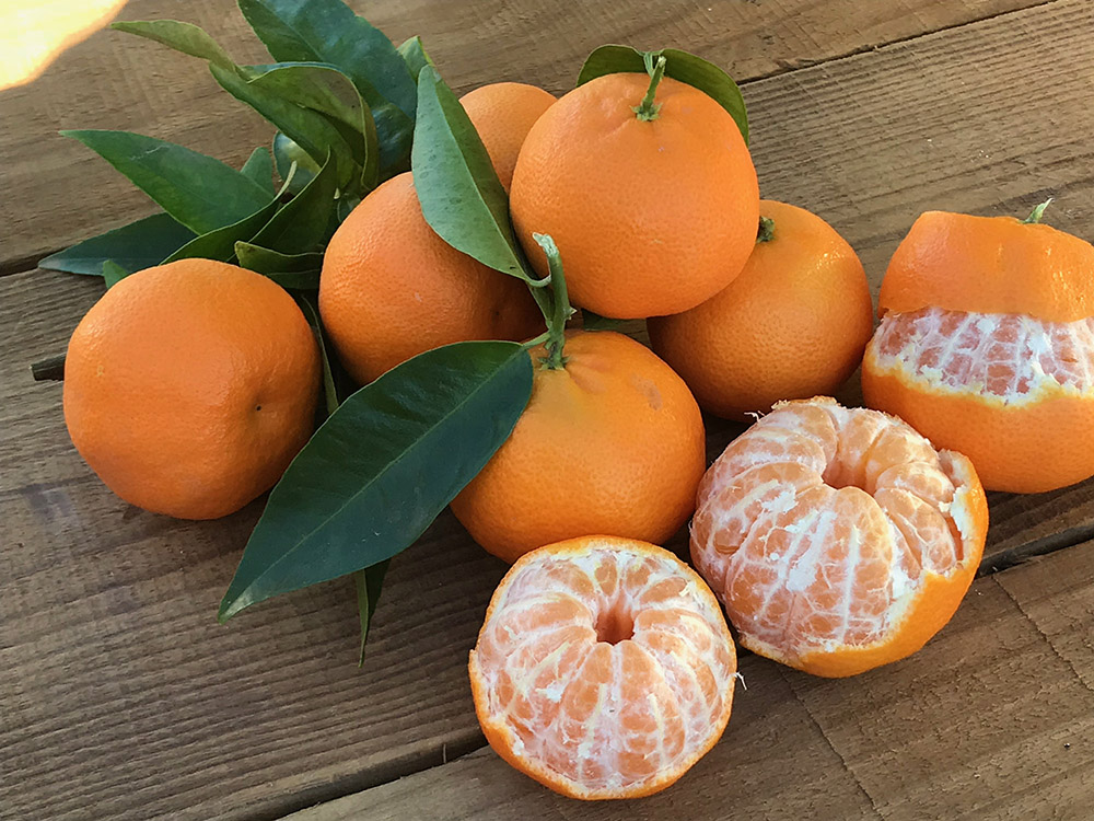 Las Mandarinas Más Dulces 