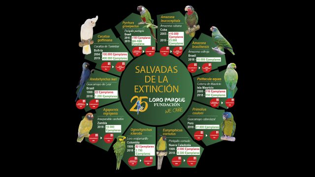 10 Especies Salvadas