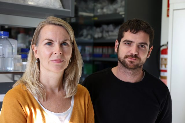 Los investigadores del HUC, Veronique Smits e Ignacio Alonso