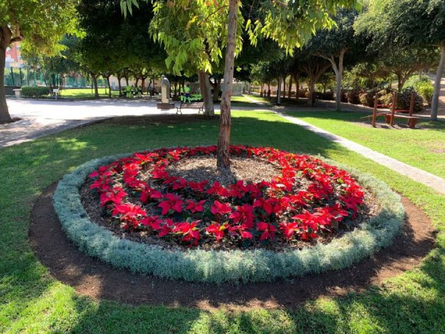 Plantacion Pascuas Parque Juan Pablo Ii 29 Nov 2019