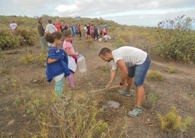 Plantación Arucas 1.12.2019 2