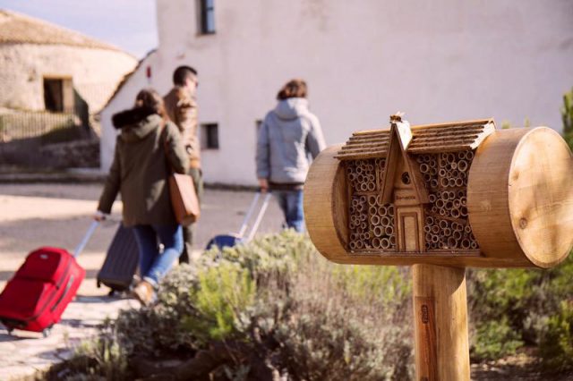 abejas