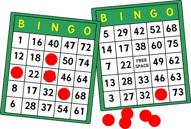 ¿A qué esperas para jugar al vídeo bingo?