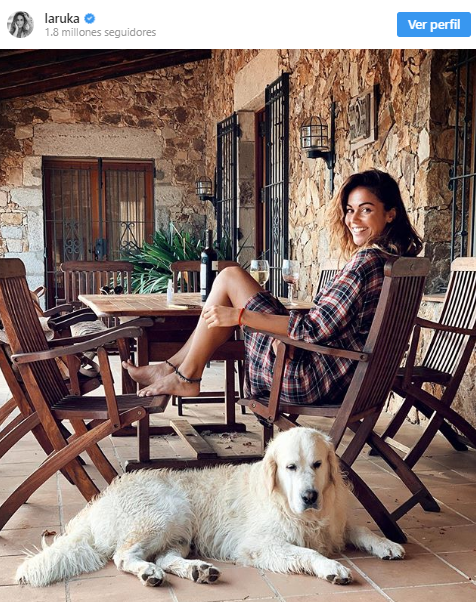 lara perro velencoso