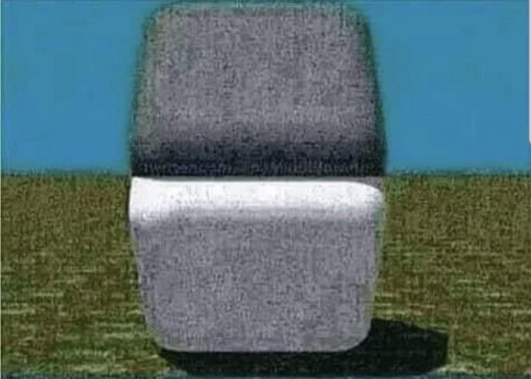 Ilusión óptica: estas dos figuras tienen exactamente el mismo color