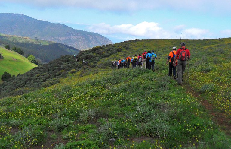 El programa municipal de senderismo ‘Teror Patea por Gran Canaria’ inicia nueva temporada