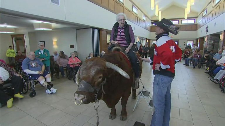 Utilizan un toro de rodeo como terapia en una residencia de ancianos de los EEUU