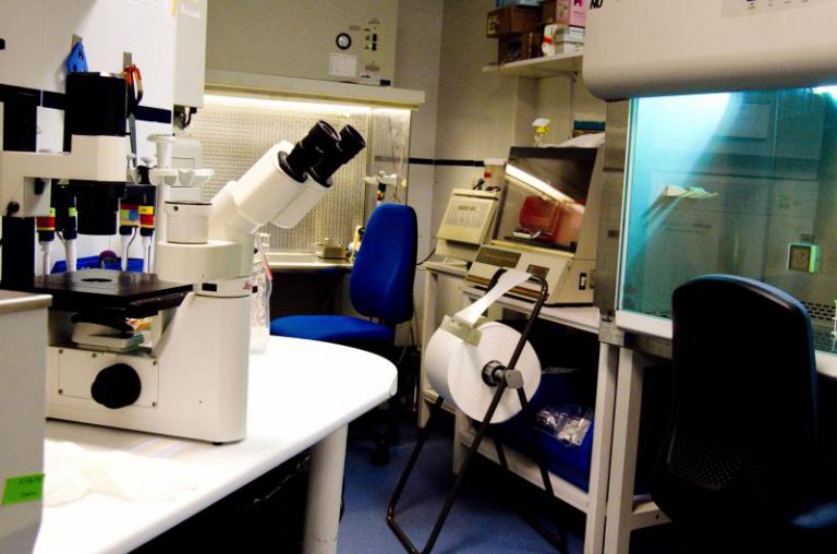 Descubren por qué el cáncer afecta más a los hombres que a las mujeres