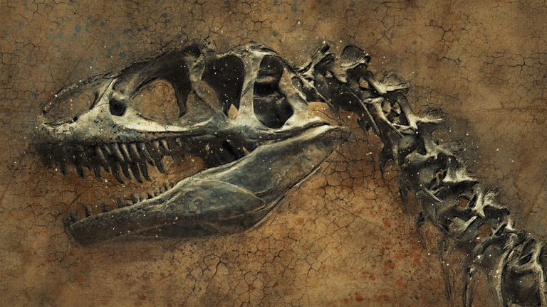 Demuestran que el impacto de un asteroide acabó con los dinosaurios