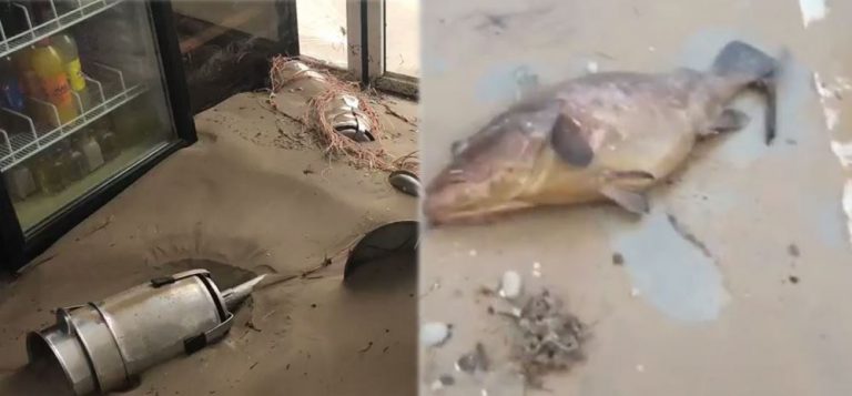 Las imágenes más impactantes de la borrasca ‘Gloria’: peces fuera del mar y restaurantes llenos de arena de la playa