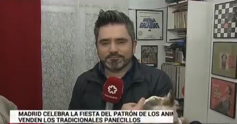 Un reportero de Telemadrid, herido por el mordisco de un perro mientras informaba
