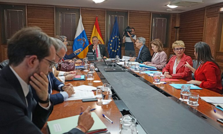 Los expertos del Comité de Emergencia Sanitaria  creen que no habrá colapso asistencial en Canarias durante el pico del contagio