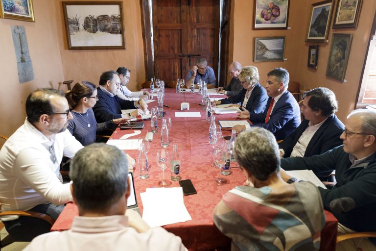 La Mesa Insular del Vino impulsa acciones promocionales conjuntas del sector para 2020