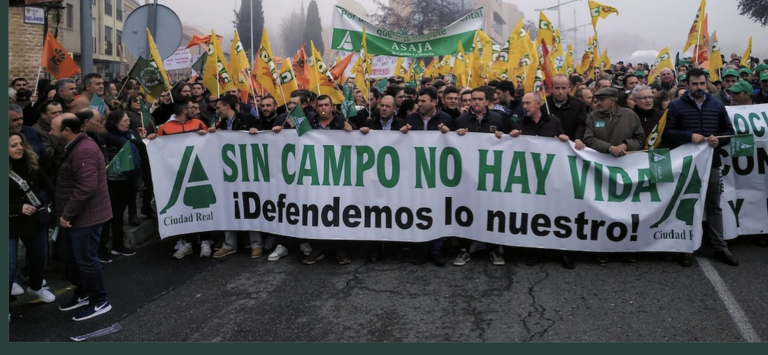 Los agricultores, en pie de guerra: estos son los alimentos que más se encarecen del campo a la tienda