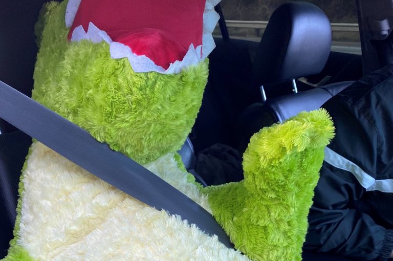 ‘Cazan’ a un conductor viajando junto a un dinosaurio en un carril de uso compartido