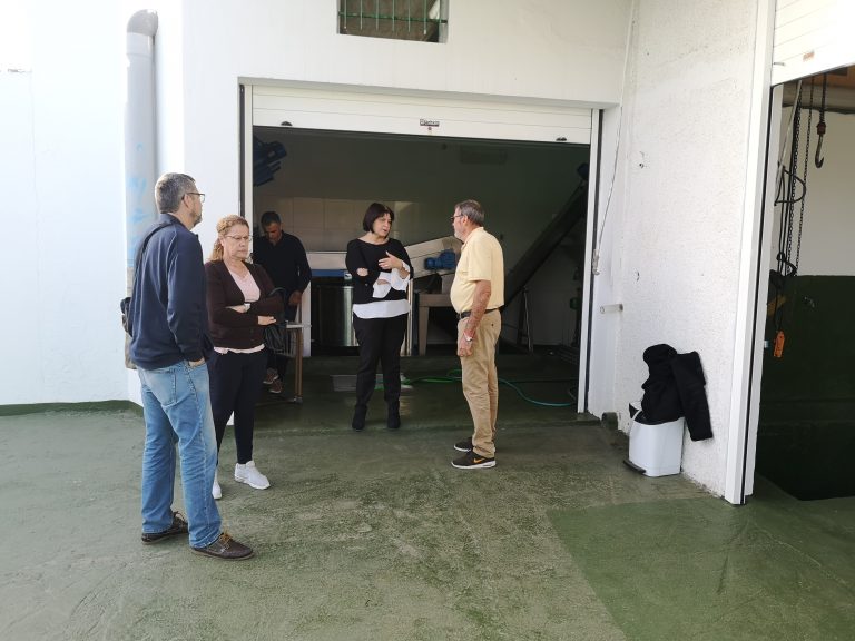 La almazara municipal entrega a los productores locales 300 litros de aceite, resultado de la última zafra  