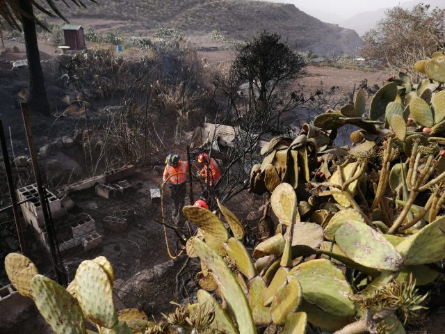 TELDE SE SUMA A LA LUCHA CONTRA EL FUEGO2