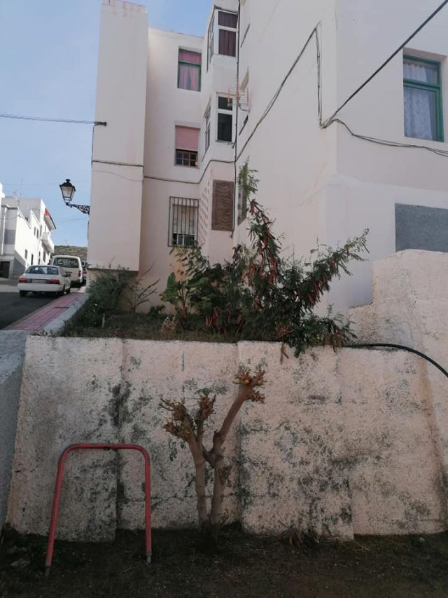 Agaete Viviendas 3