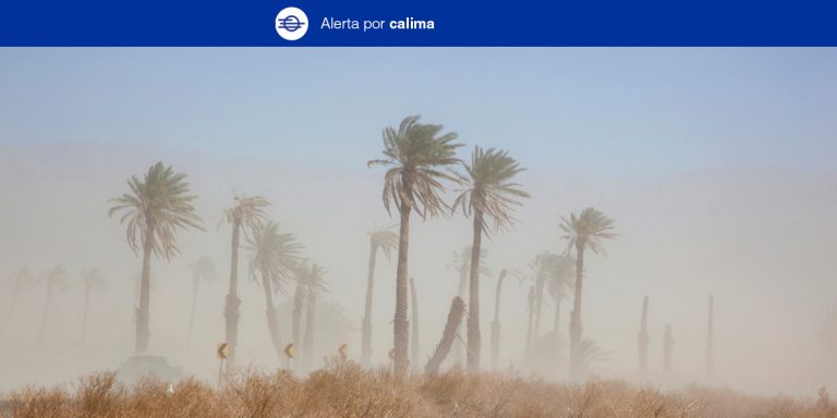 El Gobierno de Canarias declara la situación de alerta por calima en Canarias El Gobierno de Canarias declara la situación de alerta por calima en Canarias