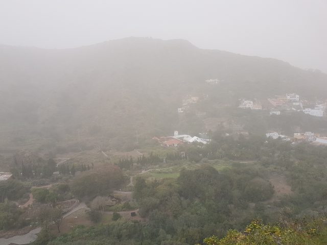 calima jardin canario
