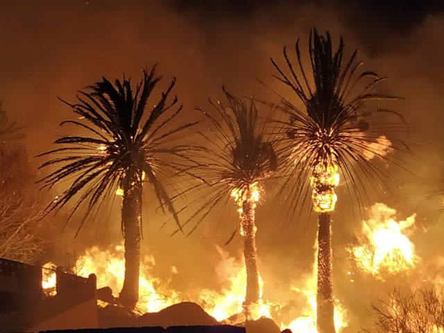 incendio palmeral