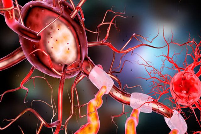 neuron-3567980__480