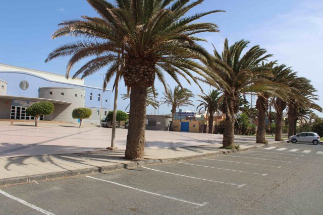 Palmera Arinaga 3