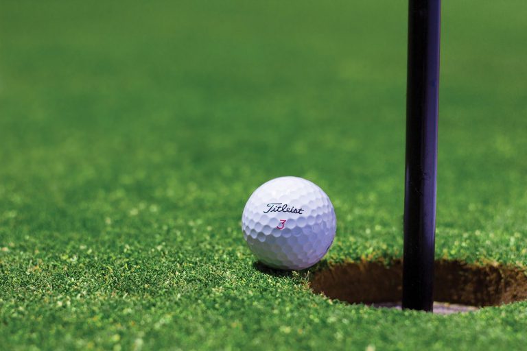 El hipnótico baile de dos serpientes en un campo de golf que se ha convertido en viral