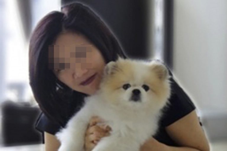 Muere el primer perro contagiado con coronavirus