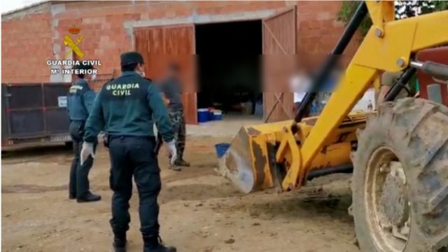 La Guardia Civil Sorprende A Un Grupo De Personas Celebrando La Matanza De Un Cerdo En Sevilla Pese A La Cuarentena 1 11C68F68 D6A3 4Fdb 986B 6Ddb294D3020