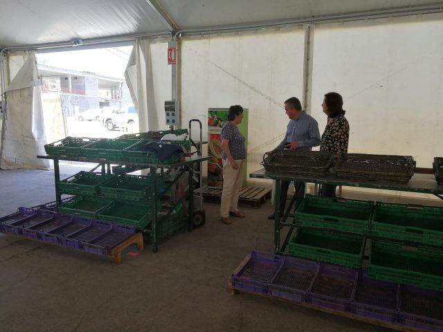 Mercado Carpas Concejal Y Vendedores