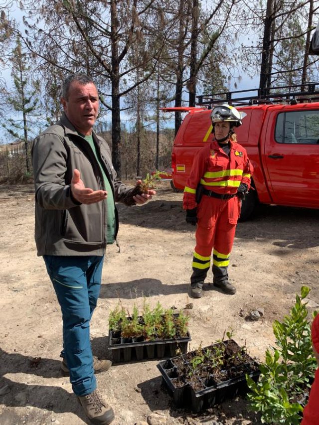 Ume Reforestacion 2