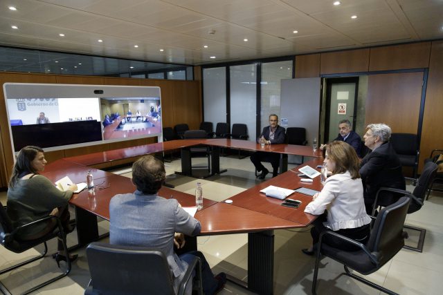 Videoconferencia Con El Sector De Sanidad Privada En Tenerife